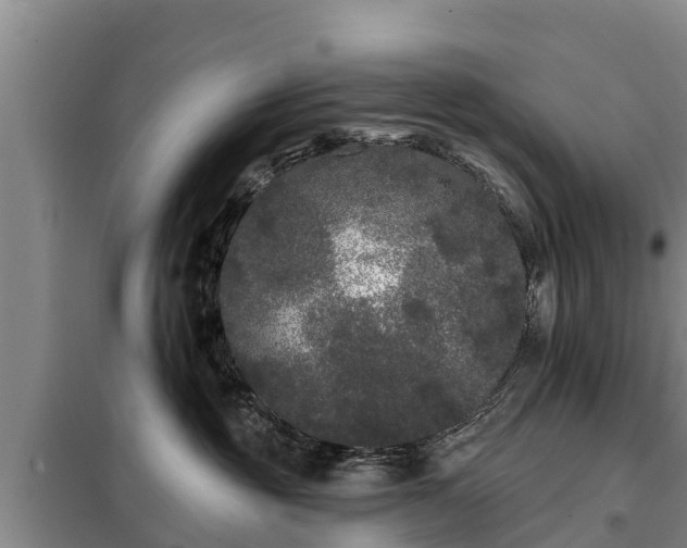 X0000099300381200805091000