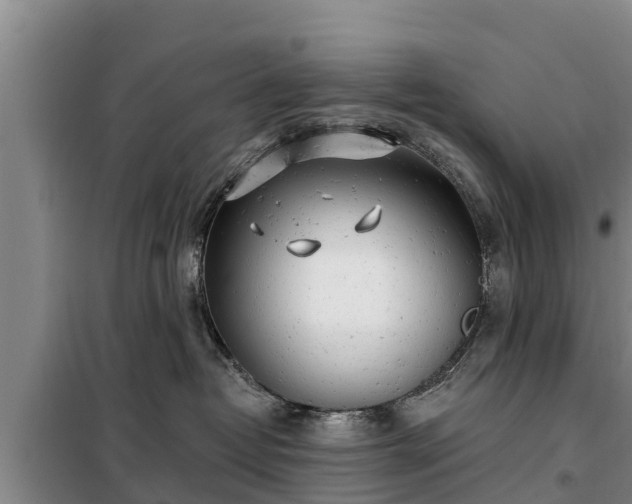 X0000099300382200805091000