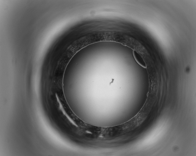 X0000099300383200805091000