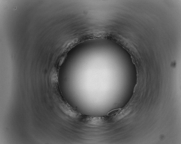 X0000099300384200805091000