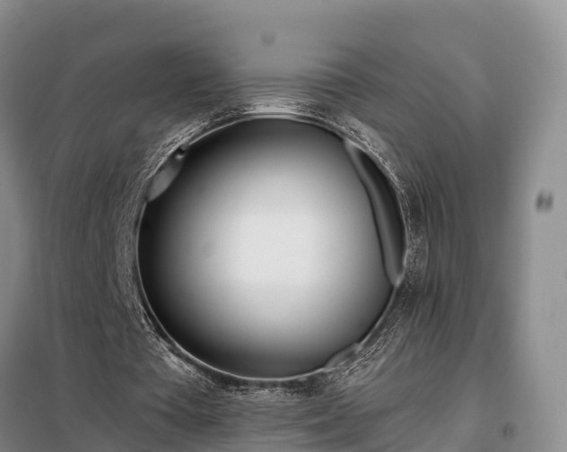 X0000099300385200805090959