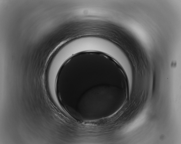 X0000099300387200805090959