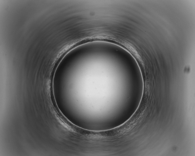 X0000099300389200805090959