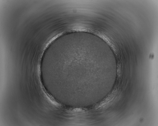 X0000099300390200805090959