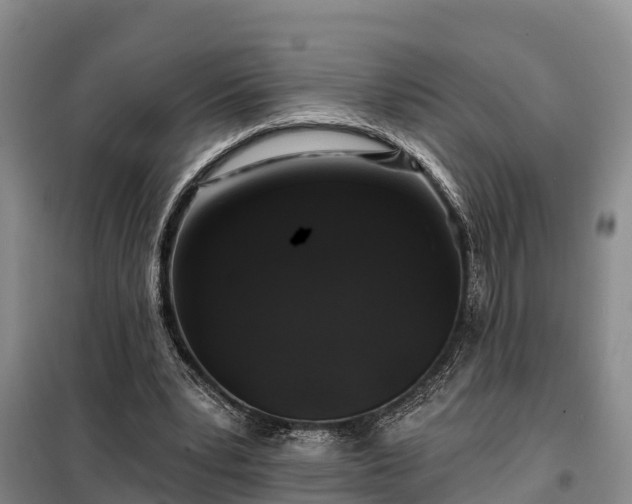 X0000099300391200805090959