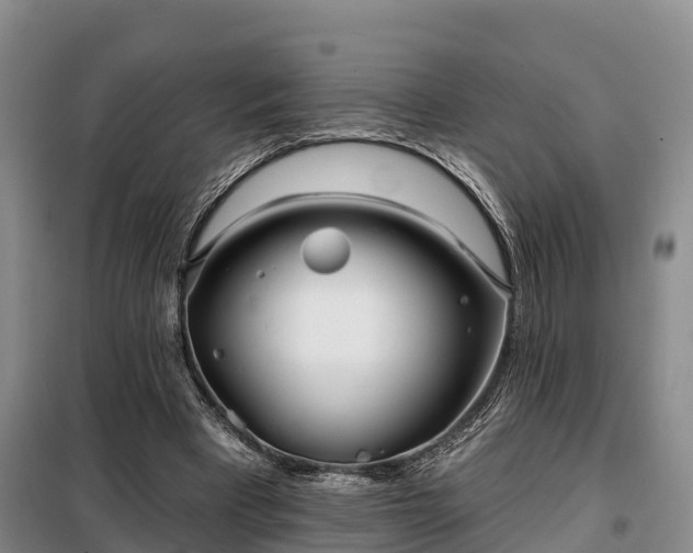 X0000099300393200805090959