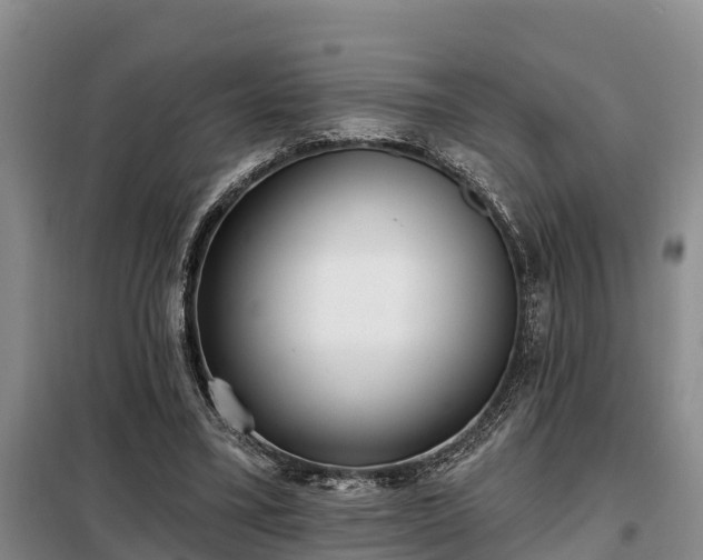 X0000099300395200805090959