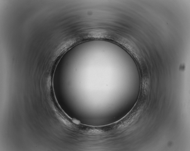 X0000099300397200805090959