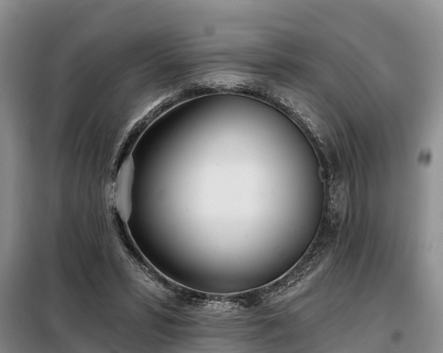 X0000099300399200805090959