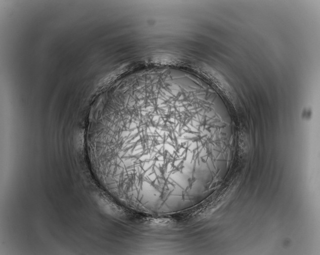 X0000099300401200805090959
