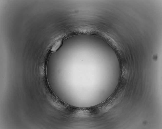 X0000099300403200805090959