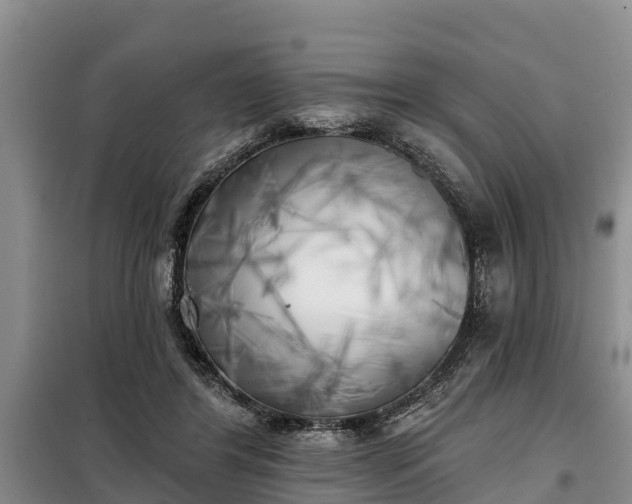 X0000099300404200805090959