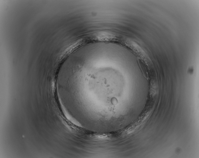 X0000099300405200805090959