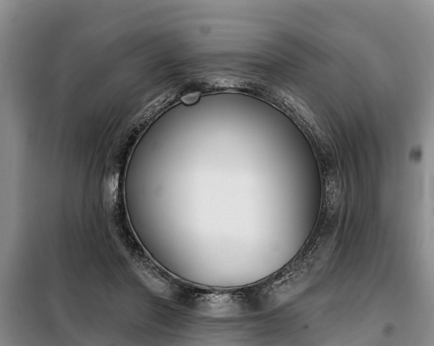 X0000099300406200805090959