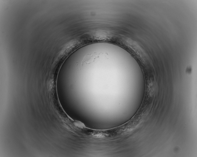 X0000099300407200805090959