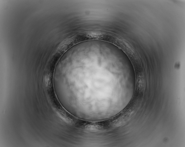 X0000099300408200805090959