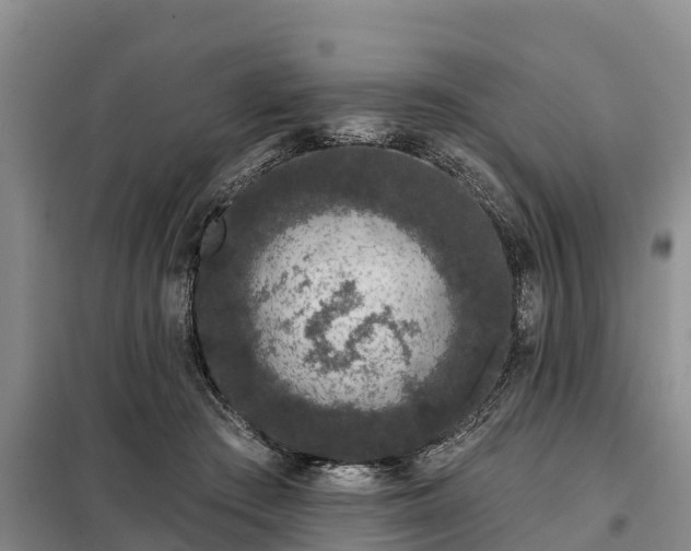 X0000099300409200805090959