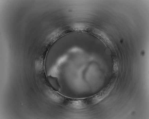 X0000099300411200805090959