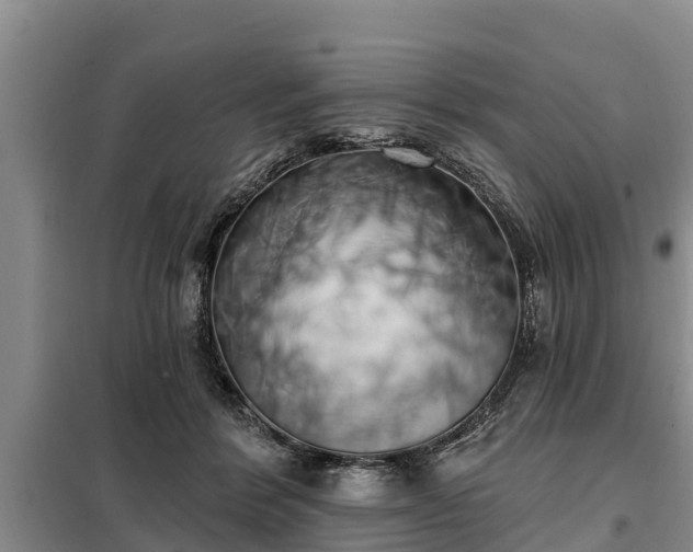 X0000099300412200805090959