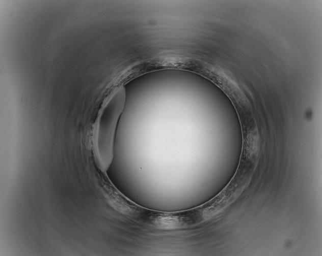 X0000099300413200805090959