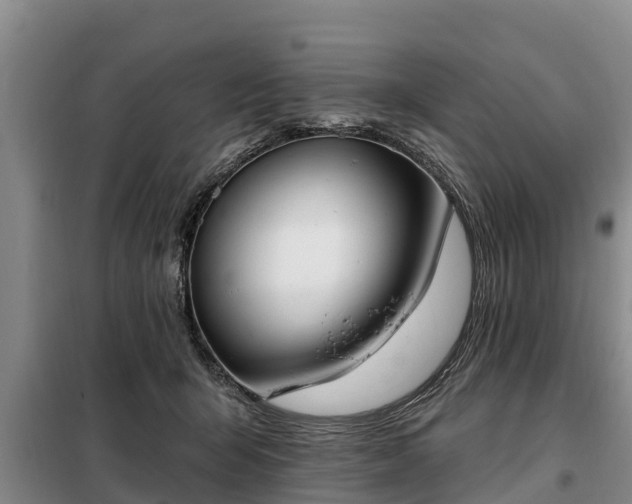 X0000099300415200805090959