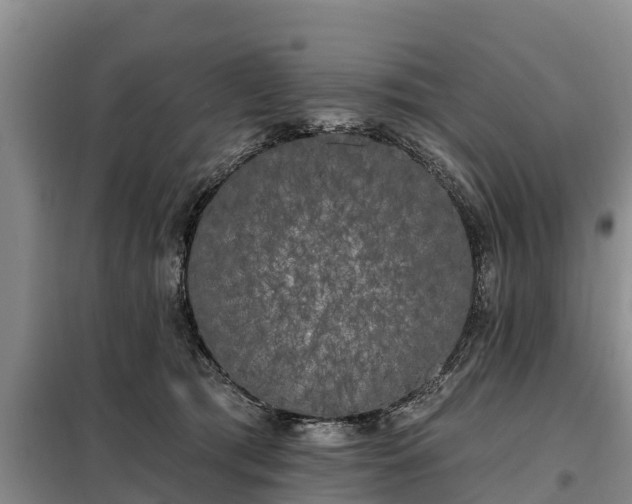 X0000099300417200805090958