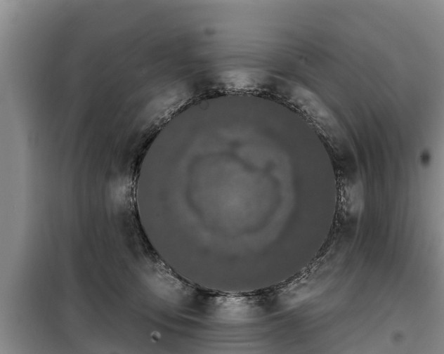 X0000099300419200805090958