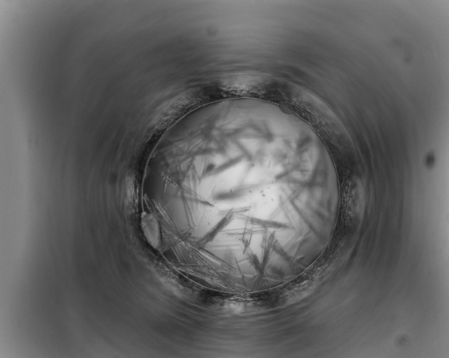 X0000099300420200805090958