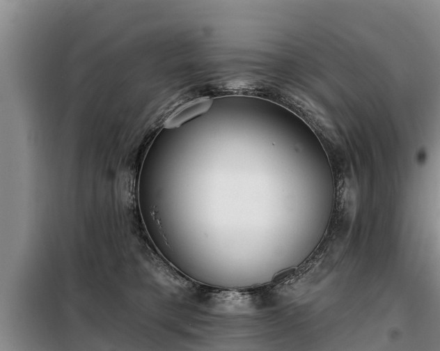 X0000099300421200805090958