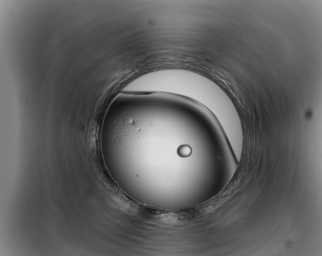 X0000099300423200805090958