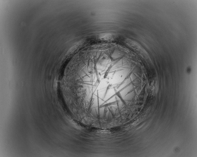 X0000099300424200805090958
