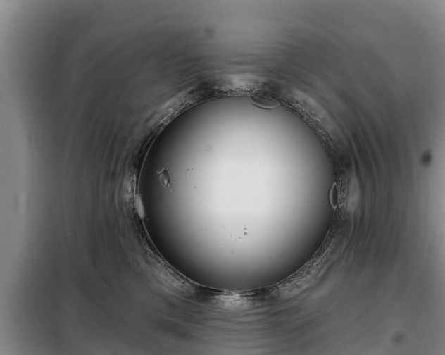 X0000099300425200805090958