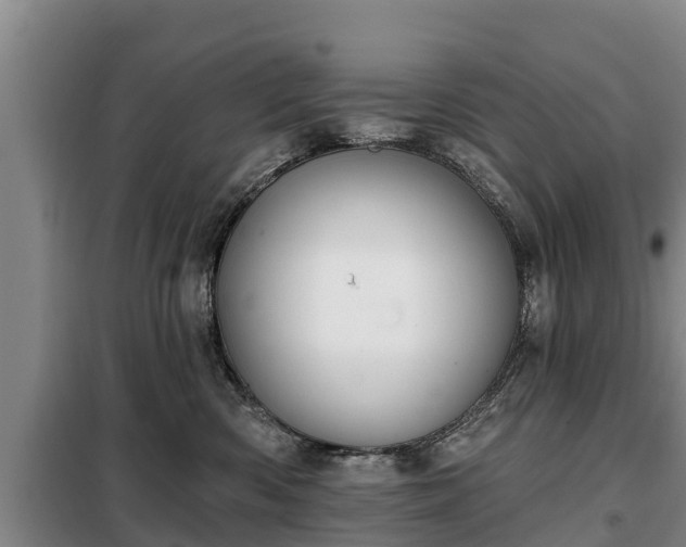 X0000099300426200805090958