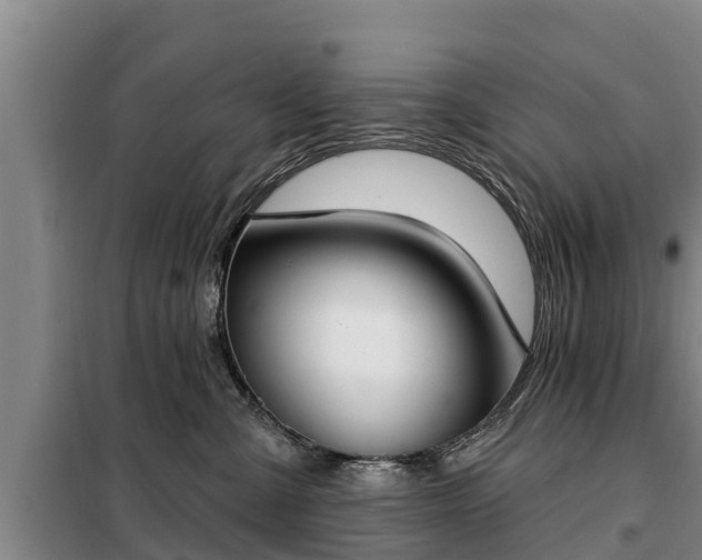 X0000099300427200805090958