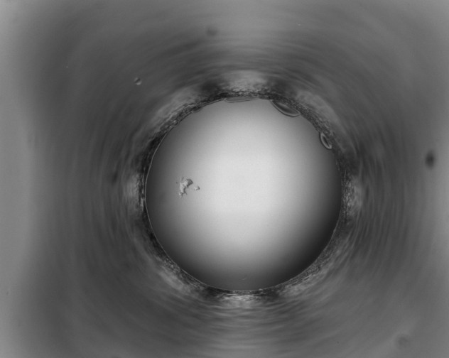 X0000099300428200805090958