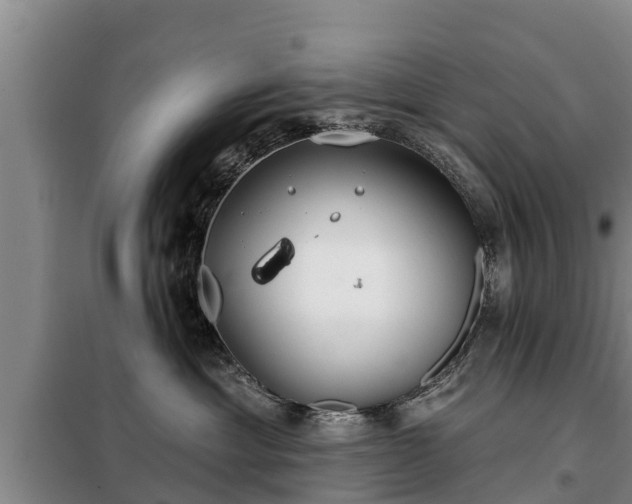 X0000099300429200805090958