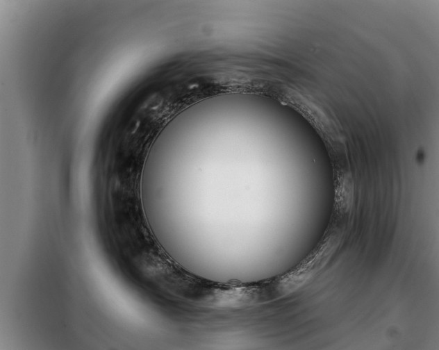 X0000099300430200805090958