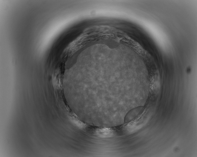 X0000099300431200805090958