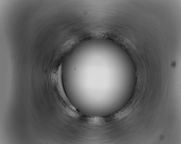 X0000099300432200805090958