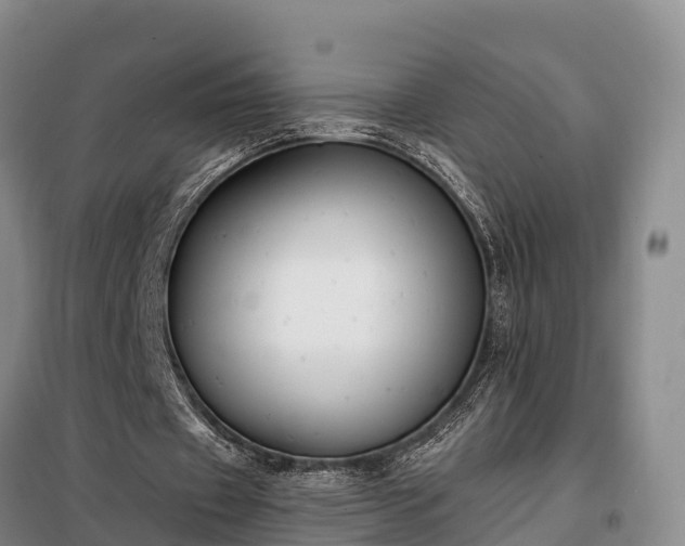 X0000099300433200805090958