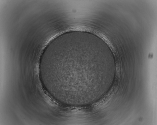 X0000099300434200805090958