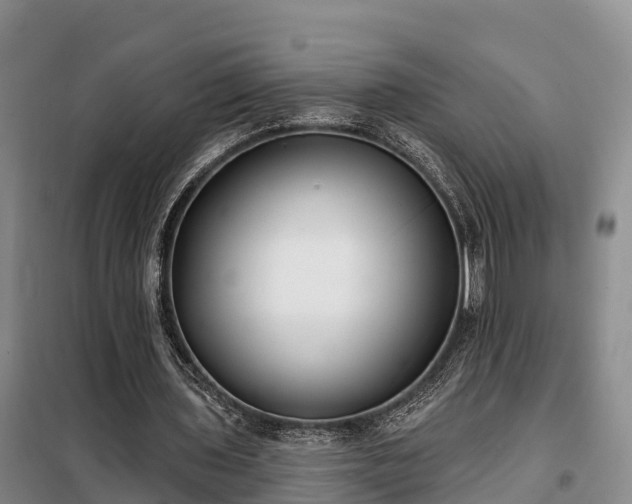 X0000099300435200805090958