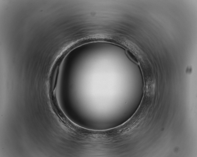 X0000099300436200805090958