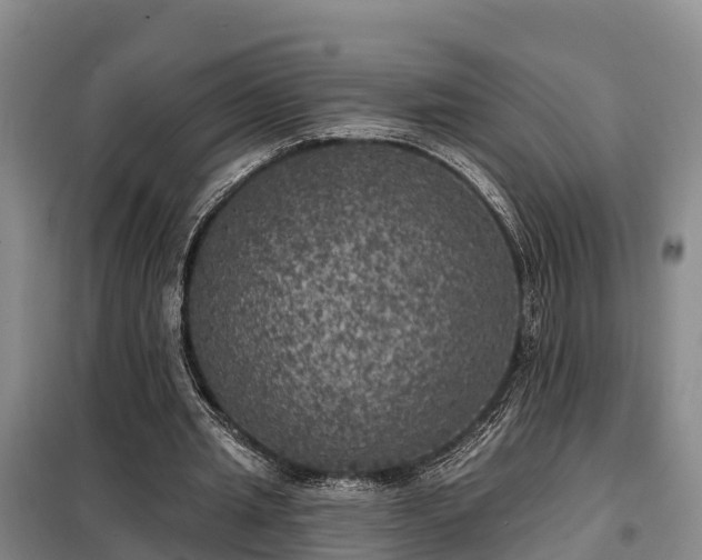 X0000099300437200805090958