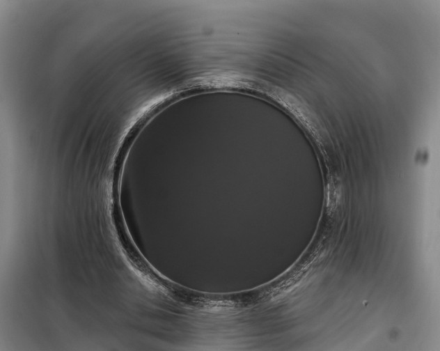 X0000099300438200805090958