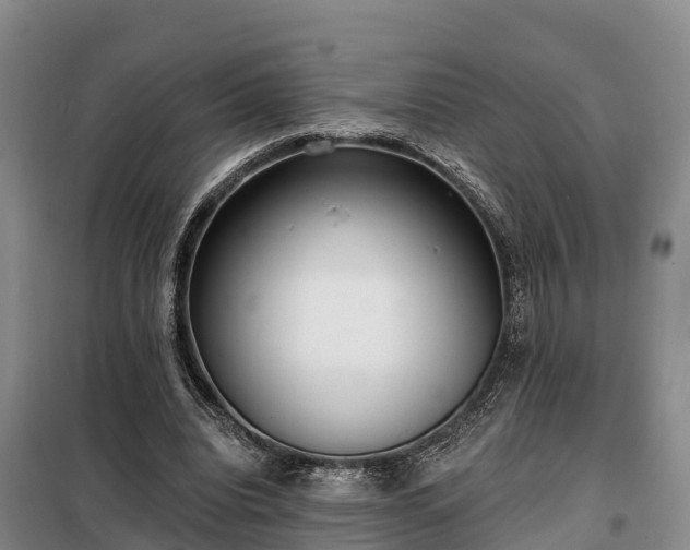 X0000099300440200805090958