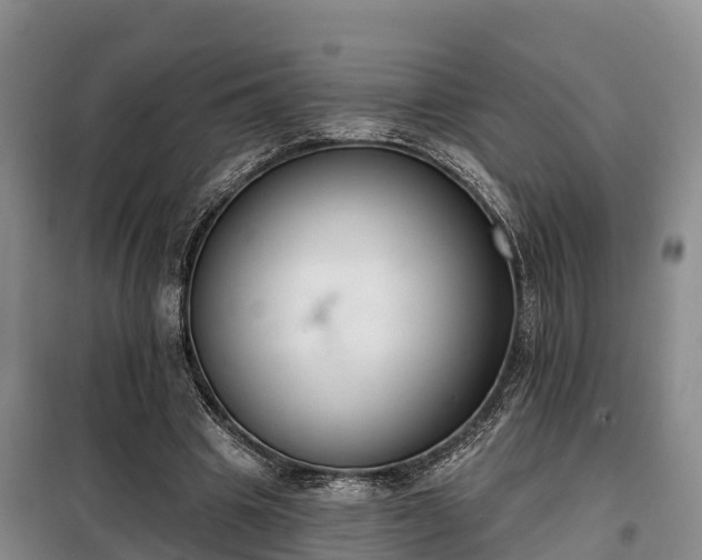 X0000099300441200805090958