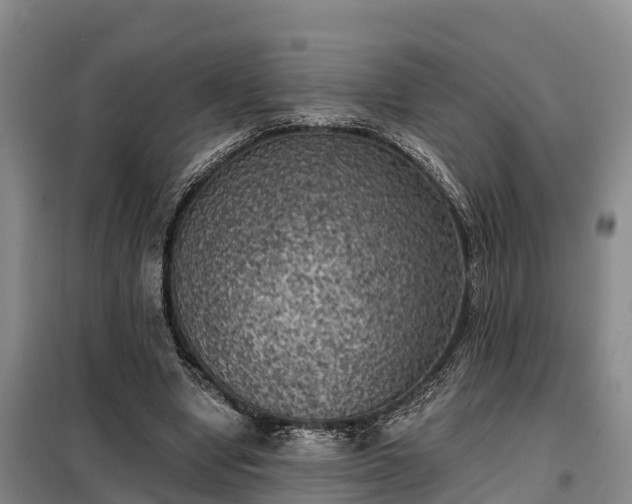 X0000099300442200805090958