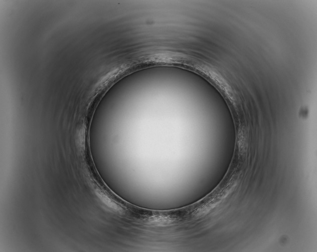 X0000099300445200805090958