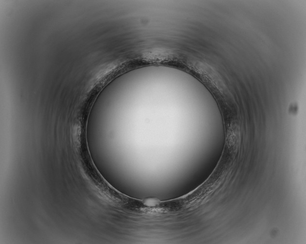 X0000099300448200805090958